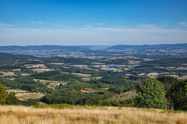 Desserts légers pour les gourmands soucieux de leur ligne